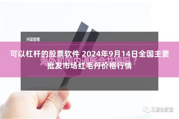 可以杠杆的股票软件 2024年9月14日全国主要批发市场红毛丹价格行情