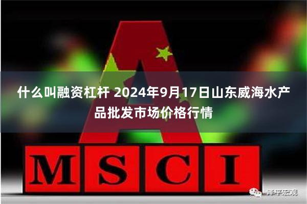 什么叫融资杠杆 2024年9月17日山东威海水产品批发市场价格行情