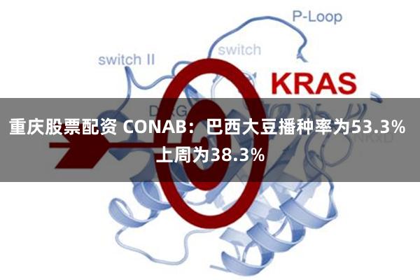 重庆股票配资 CONAB：巴西大豆播种率为53.3% 上周为38.3%