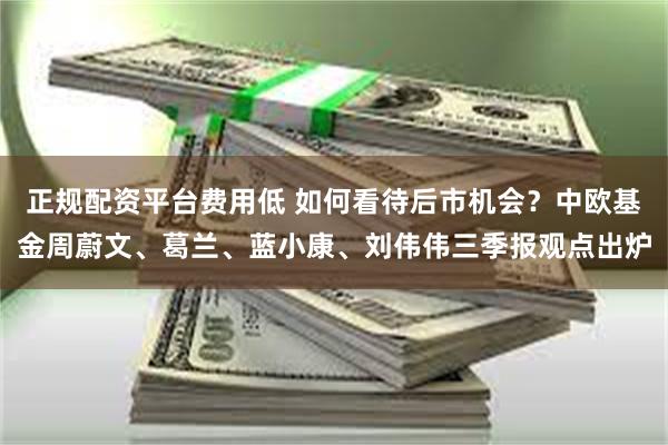 正规配资平台费用低 如何看待后市机会？中欧基金周蔚文、葛兰、蓝小康、刘伟伟三季报观点出炉