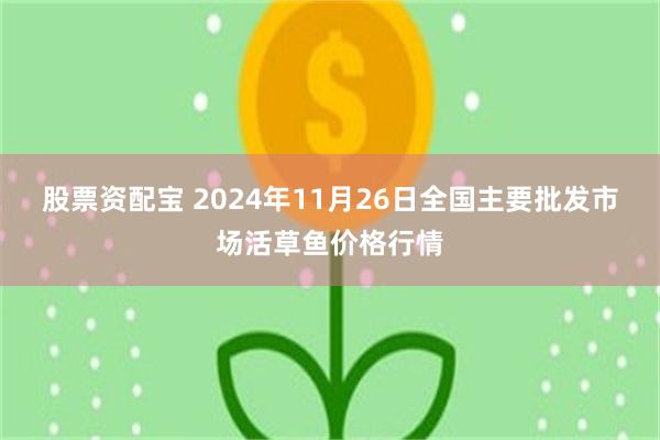 股票资配宝 2024年11月26日全国主要批发市场活草鱼价格行情