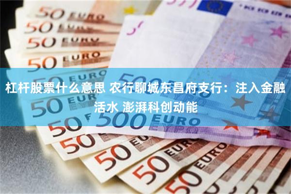 杠杆股票什么意思 农行聊城东昌府支行：注入金融活水 澎湃科创动能